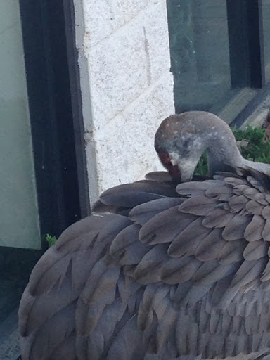 Shopping Mall «Marketplace Mall», reviews and photos, 2101 Peters Creek Pkwy, Winston-Salem, NC 27127, USA