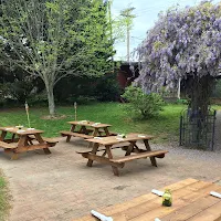 Monkey Town Brewing & Restaurant - Dayton in Dayton, Tennessee - 4.50 star rating