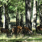 Photo n° 1 de l'avis de Anais.i fait le 22/08/2023 à 09:30 pour Espace Rambouillet à Sonchamp