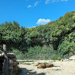 Photo n°1 de l'avis de Claudio.o fait le 21/09/2023 à 14:55 sur le  Parco Zoo Falconara Srl à Falconara Marittima