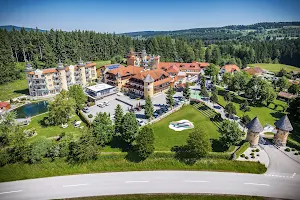 Hotel Guglwald image