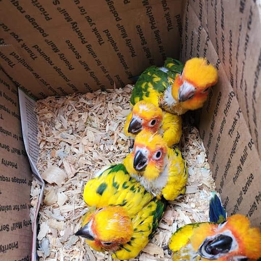 Pet Supply Store «Pet Care Inc.», reviews and photos, 2500 East Cesar E Chavez Avenue, Los Angeles, CA 90033, USA