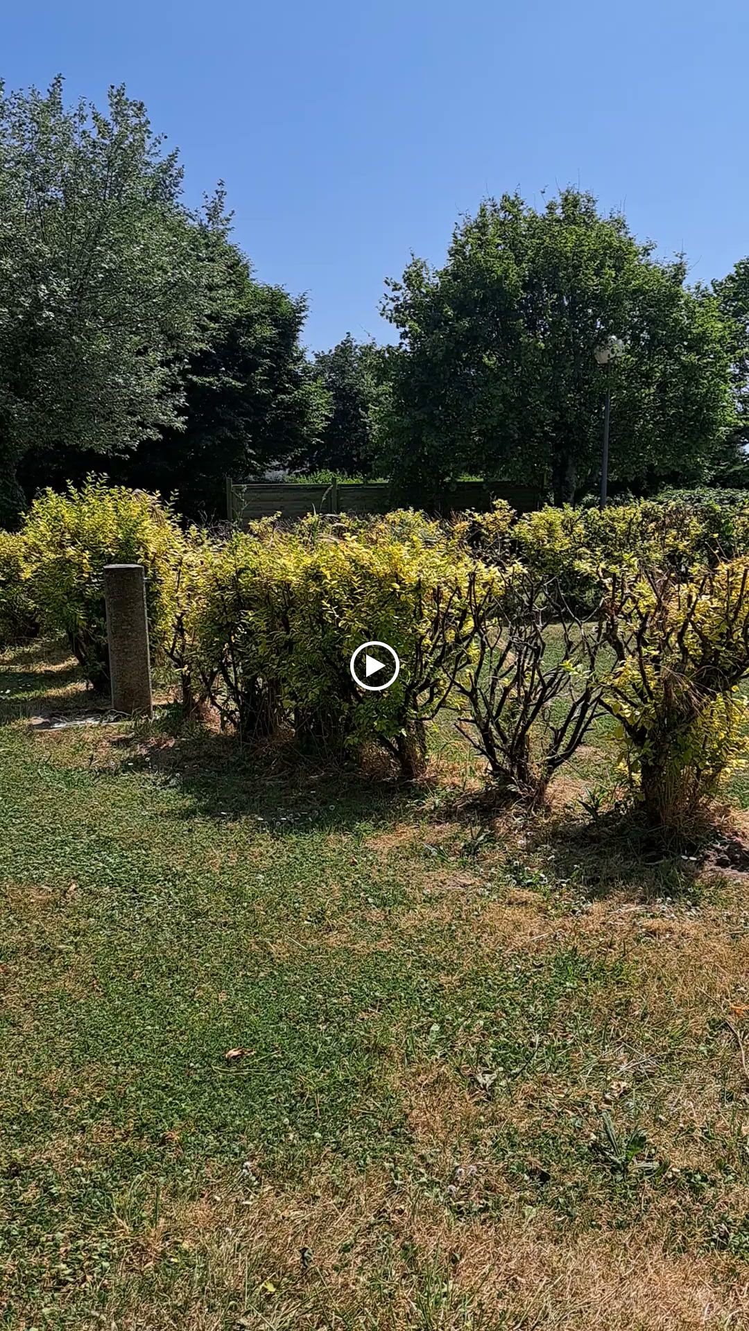 Photo n° 1 de l'avis de Vera.c fait le 18/06/2023 à 18:09