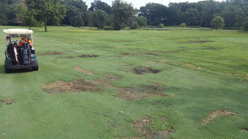 Golf Course «Berrien Hills Golf Club», reviews and photos, 690 W Napier Ave, Benton Harbor, MI 49022, USA