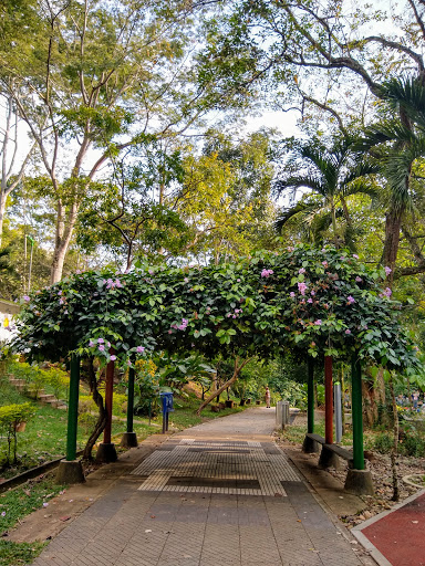Parques tematicos para niños Bucaramanga
