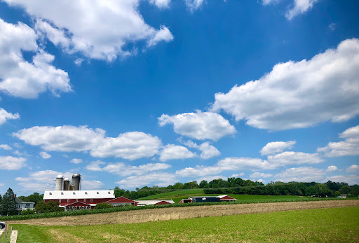 Ice Cream Shop «Fox Meadows Creamery», reviews and photos, 2475 W Main St, Ephrata, PA 17522, USA