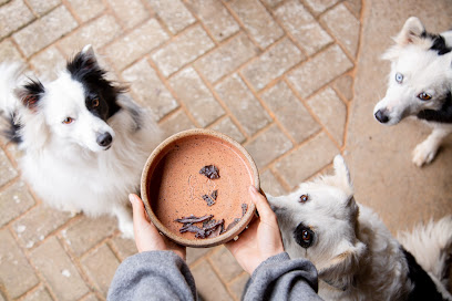 374 Pets Asa Sul Brasília