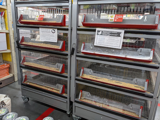 Home Improvement Store «Tractor Supply Co.», reviews and photos, 2754 Saratoga Blvd, Corpus Christi, TX 78415, USA