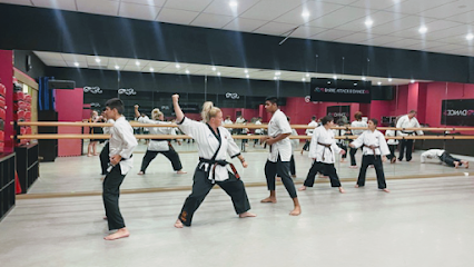 Tora Martial Arts Centre