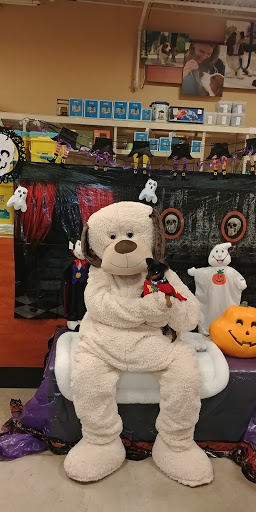 Pet Supply Store «PetSmart», reviews and photos, 42 Southgate Square, Colonial Heights, VA 23834, USA