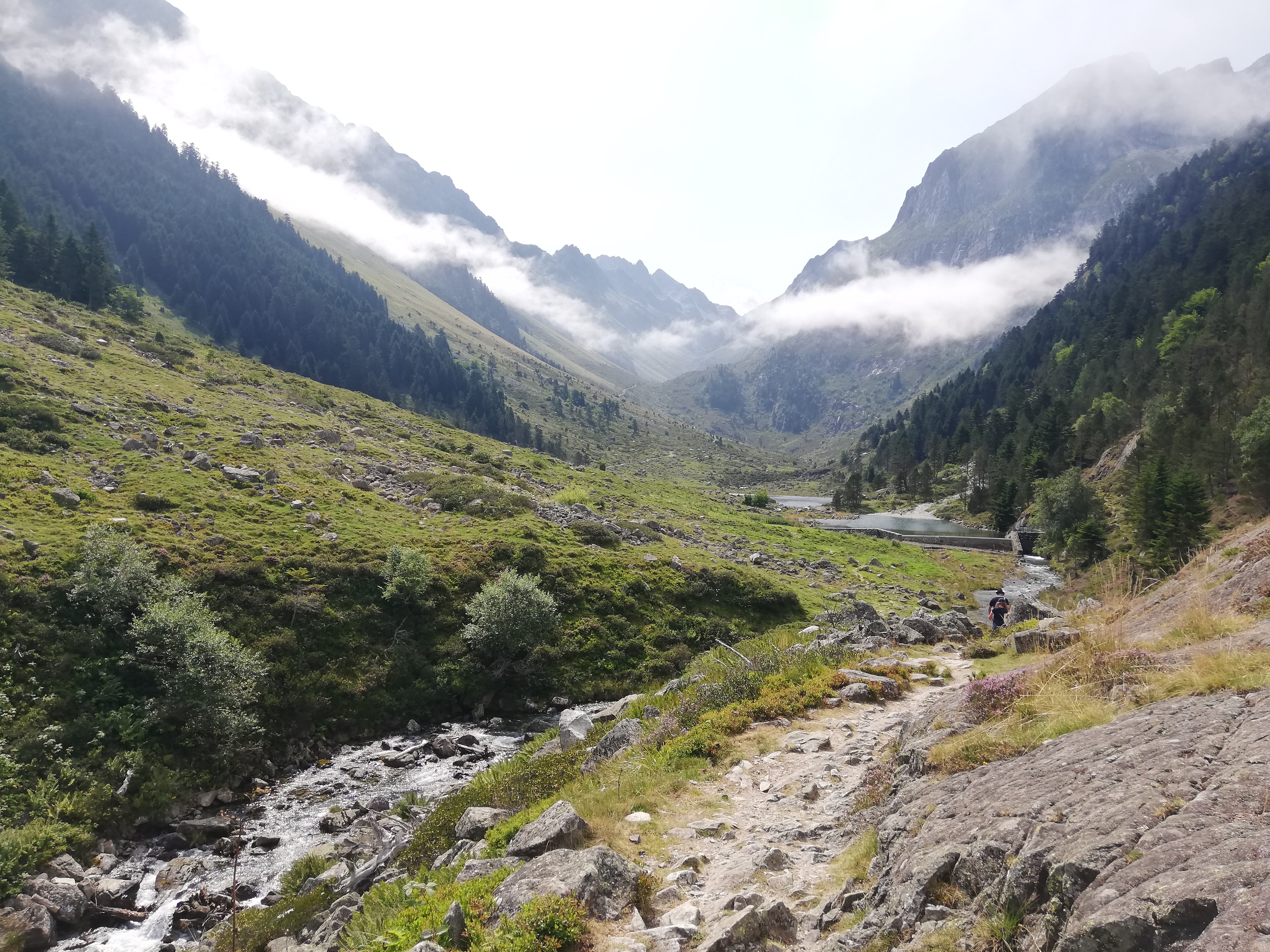 Photo n° 2 de l'avis de floch.a fait le 22/08/2021 à 13:11