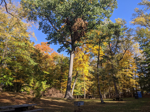 Park «Grover Cleveland Park», reviews and photos, Brookside Ave & Runnymede Rd, Essex Fells, NJ 07021, USA