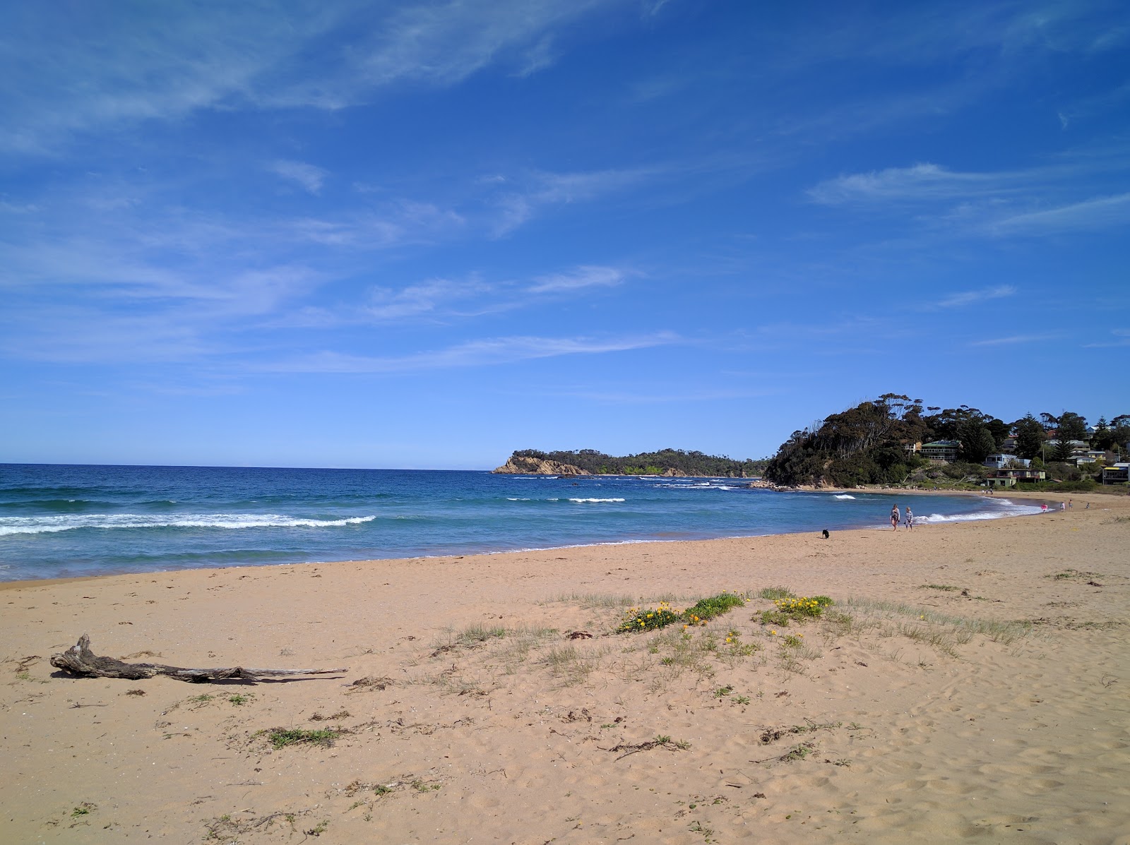 Malua Bay Beach的照片 带有碧绿色纯水表面