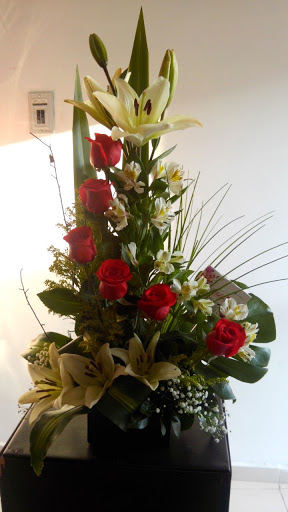 Floreria Motivos Torreón – Torreón