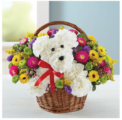 Florist «Spring Flowers & Gifts», reviews and photos, 711 Broadway, Sonoma, CA 95476, USA