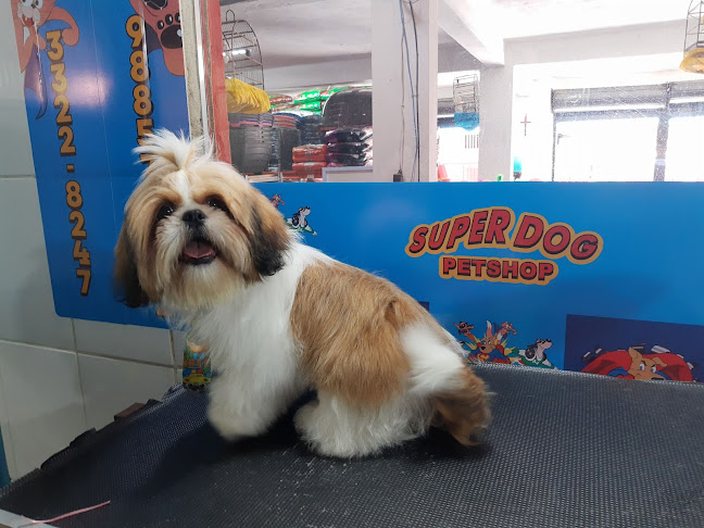 Super Dog Clínica Veterinária & Pet shop - Belo Horizonte