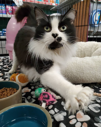 Pet Store «Friendly Pets», reviews and photos, 625 Friendly Center Rd, Greensboro, NC 27408, USA