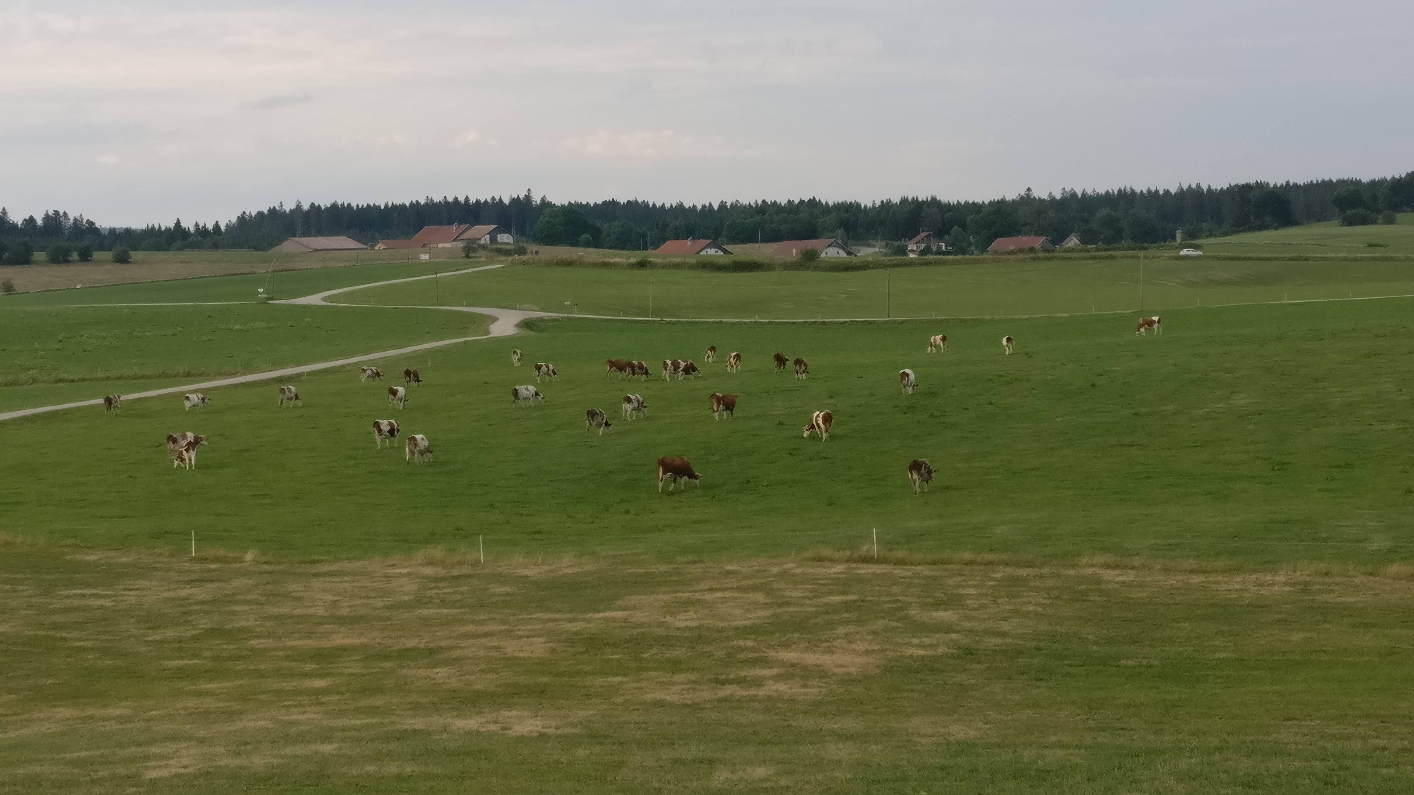 Photo n° 2 de l'avis de DEnis.u fait le 06/08/2019 à 19:32
