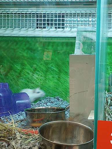 Pet Supply Store «PetSmart», reviews and photos, 5650 Mercury Dr, Dearborn, MI 48126, USA