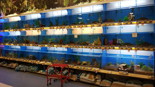 Pet Supply Store «PetSmart», reviews and photos, 11835 Retail Dr, Wake Forest, NC 27587, USA