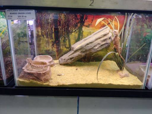 Pet Supply Store «Petland Discounts - Bayonne», reviews and photos, 533 Broadway, Bayonne, NJ 07002, USA