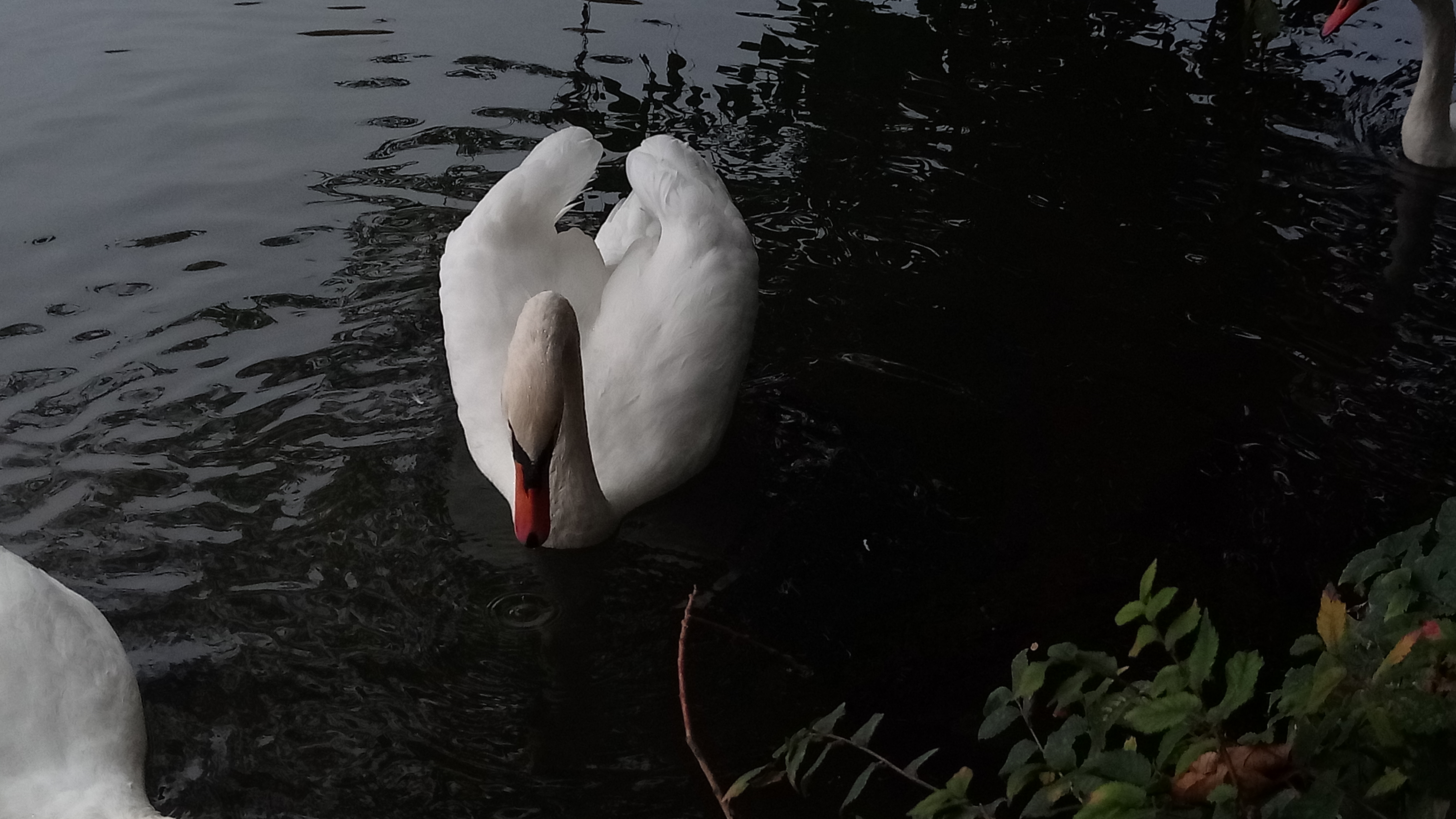 Photo n° 9 de l'avis de Arnaud.N fait le 19/05/2019 à 09:20