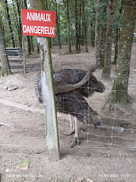 Photo n°19 de Sologne Autruches EARL à Saint-Gondon ()