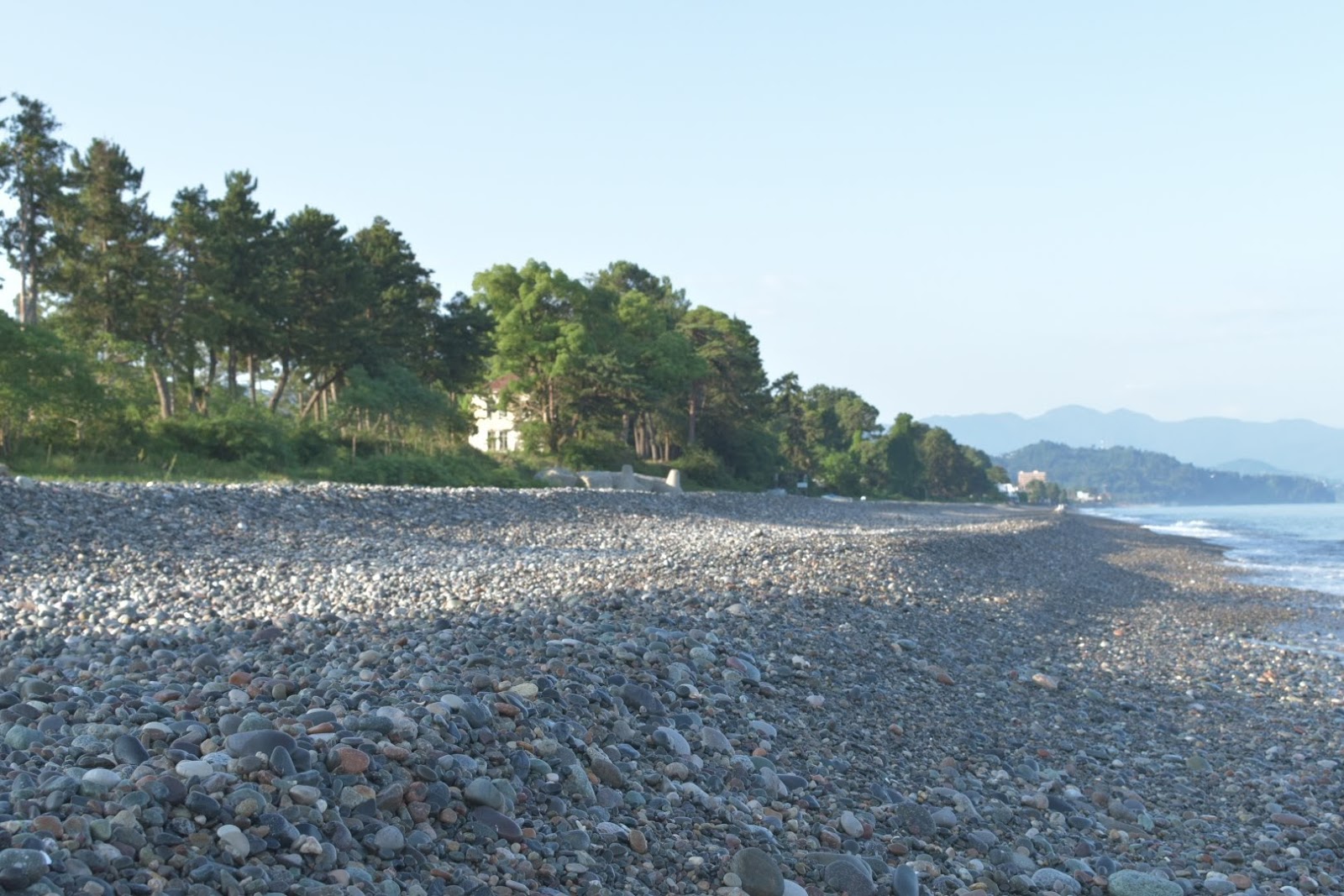 Foto van Tsikhisdziri beach met recht en lang