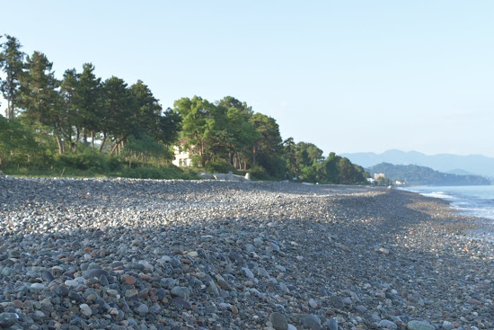 Tsikhisdziri beach