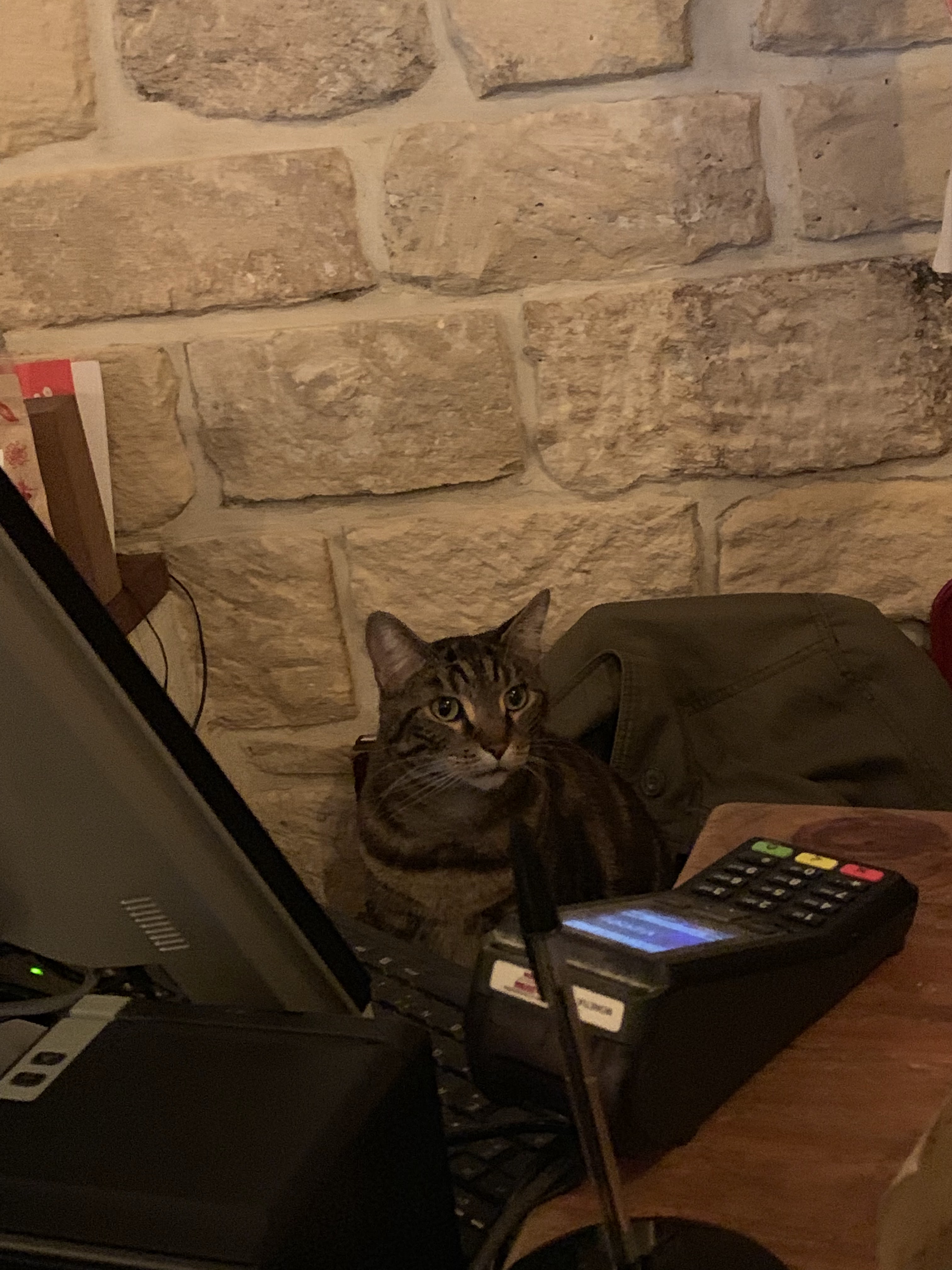 Photo n° 2 de l'avis de Daniel.r fait le 12/04/2019 à 06:29