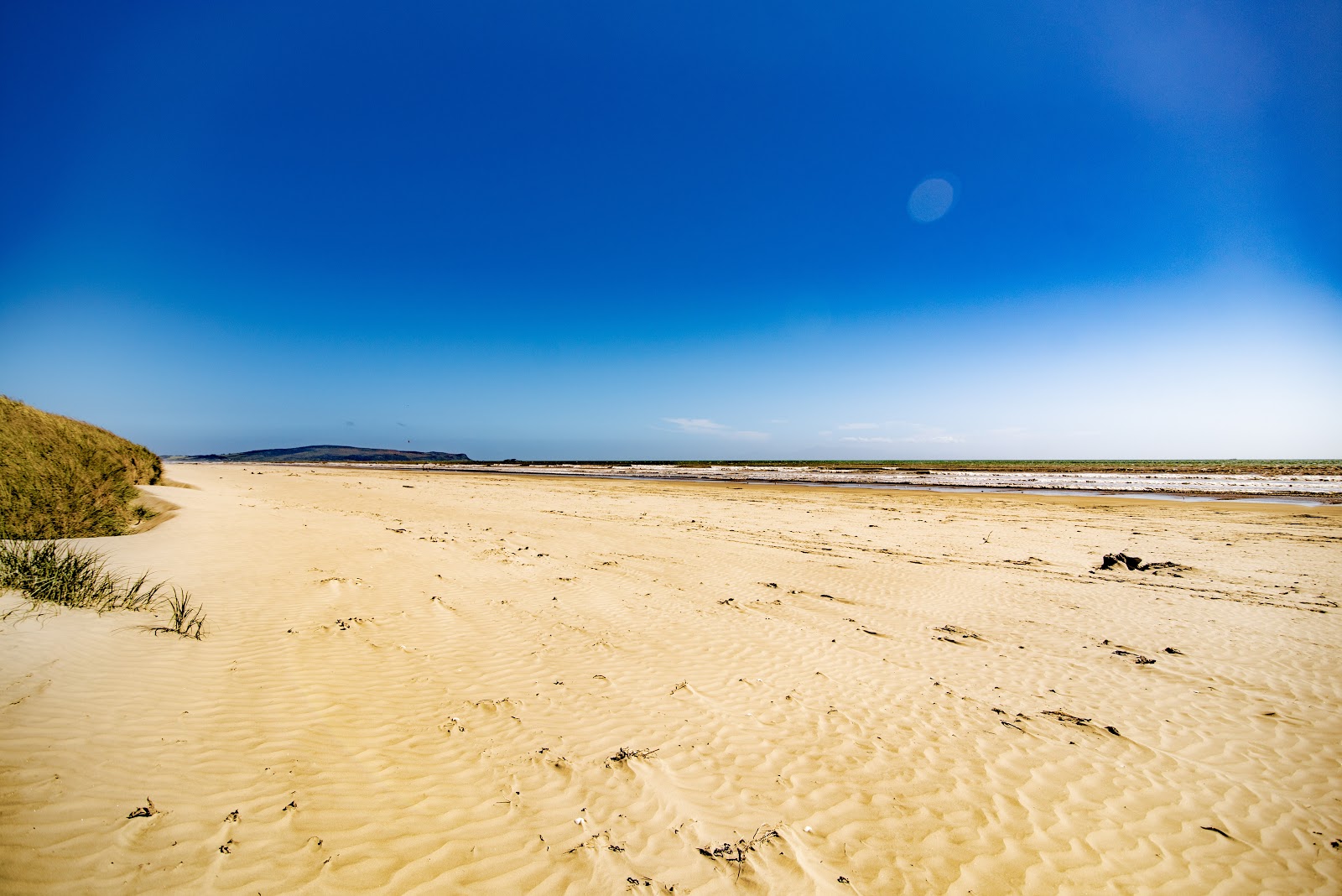 Photo de Oreti Beach - bon endroit convivial pour les animaux de compagnie pour les vacances