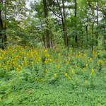 Photo n°2 de l'avis de Baerbel.a fait le 09/07/2022 à 16:44 sur le  Hochsteinbaude à Königshain