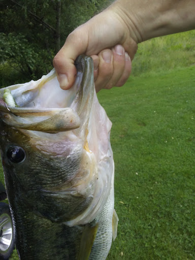 Golf Club «High Vista Golf Club», reviews and photos, 88 Country Club Rd, Mills River, NC 28759, USA