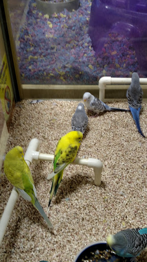 Pet Supply Store «Pet Supermarket», reviews and photos, 1112 N Fielder Rd, Arlington, TX 76012, USA