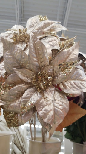 Craft Store «Michaels», reviews and photos, 14829 N Dale Mabry Hwy, Carrollwood, FL 33618, USA