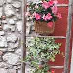 Photo n°9 de l'avis de Vania.a fait le 04/07/2021 à 14:07 sur le  Bar Gelateria al Confin à Enego