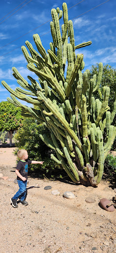 Dreamland Villa Desert Nature Trail