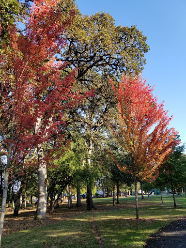 Park «Shadywood Park», reviews and photos, 535 NE 24th Ave, Hillsboro, OR 97124, USA