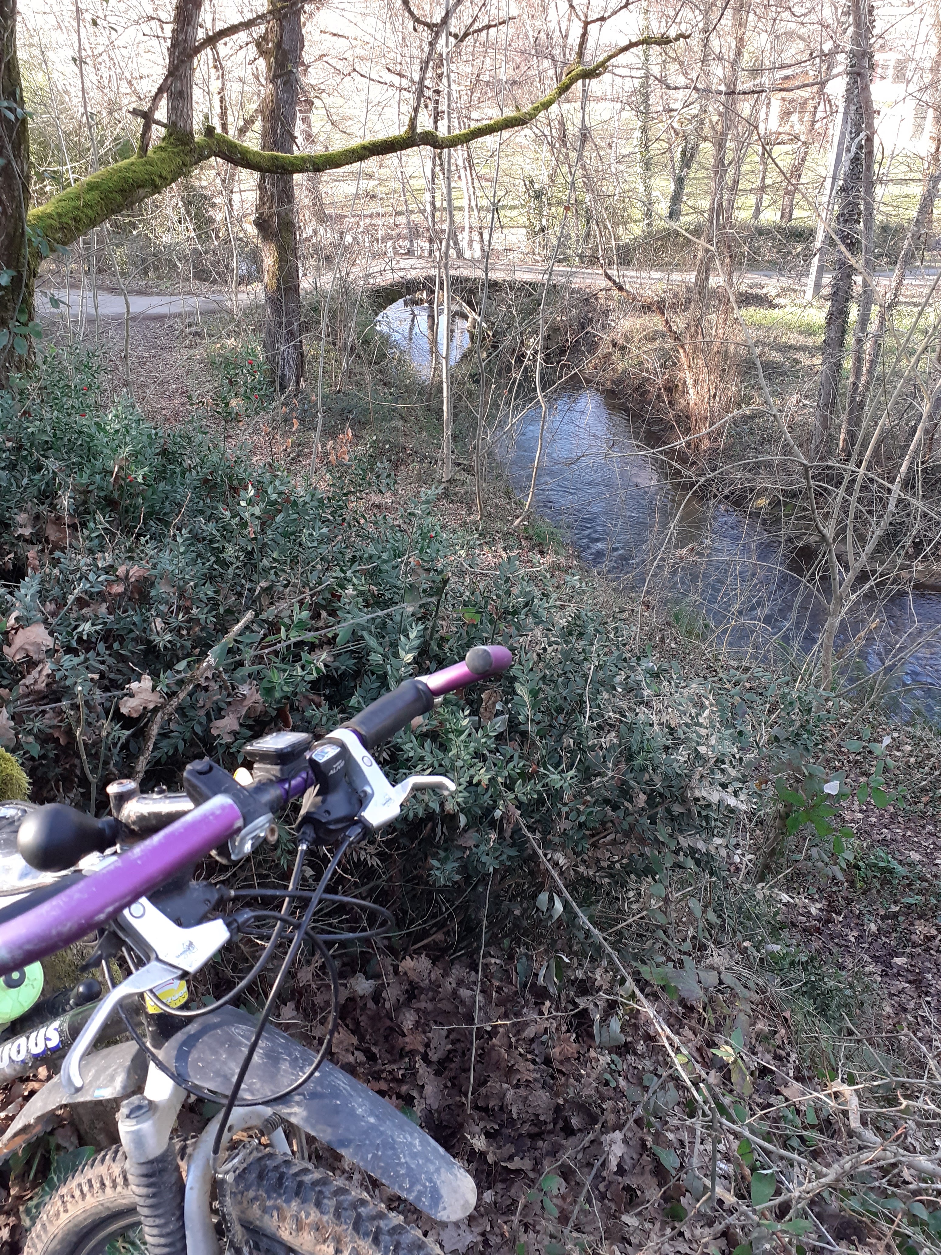Photo n° 14 de l'avis de Marc.o fait le 23/04/2023 à 13:11
