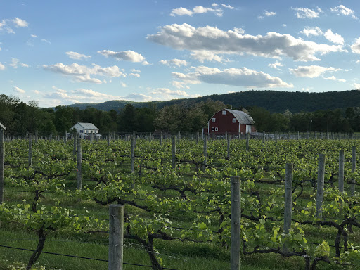 Winery «Hiddencroft Vineyards LLC», reviews and photos, 12202 Axline Rd, Lovettsville, VA 20180, USA