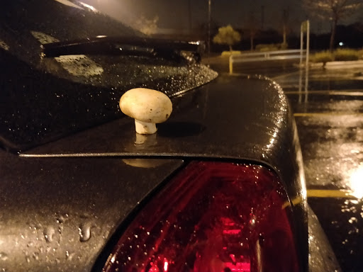 Supermarket «Walmart Neighborhood Market», reviews and photos, 5609 Pacific St, Rocklin, CA 95677, USA