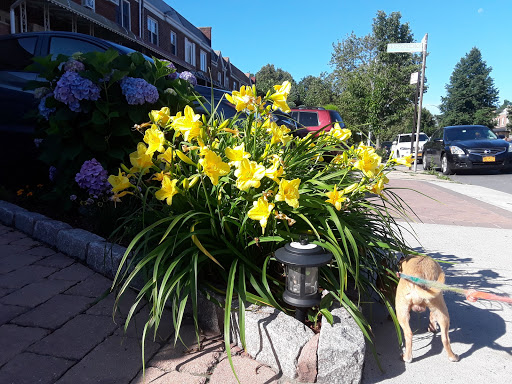 Park «Dyker Beach Park», reviews and photos, 334 Bay 8th St, Brooklyn, NY 11228, USA