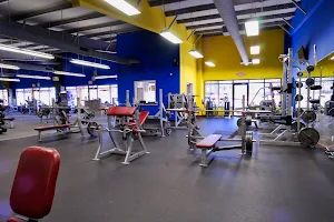 The Local Gym image