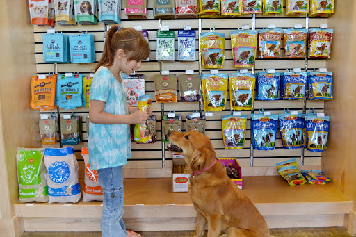 Two Dogs and A Cat Pet Club image