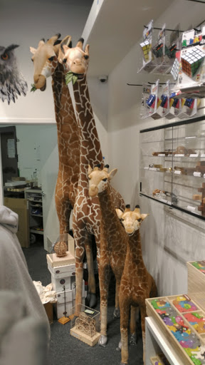 Toy Store «Coolest Toys On Earth», reviews and photos, 6840 Wooster Pike, Cincinnati, OH 45227, USA