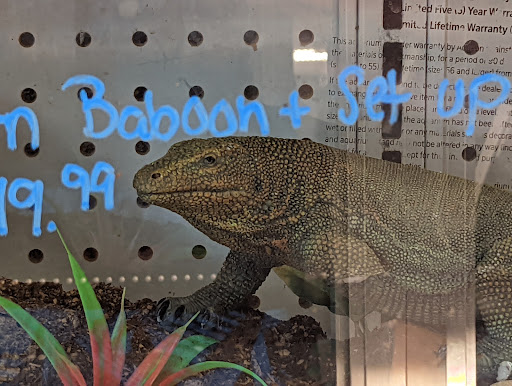 Pet Supply Store «House of Pets Inc», reviews and photos, 29500 Ford Rd, Garden City, MI 48135, USA