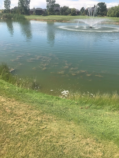 Public Golf Course «Eaglewood Golf Course», reviews and photos, 1110 E Eaglewood Dr, North Salt Lake, UT 84054, USA