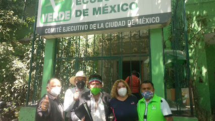 Partido Verde Ecologista de México - Comité Ejecutivo de la Ciudad de México