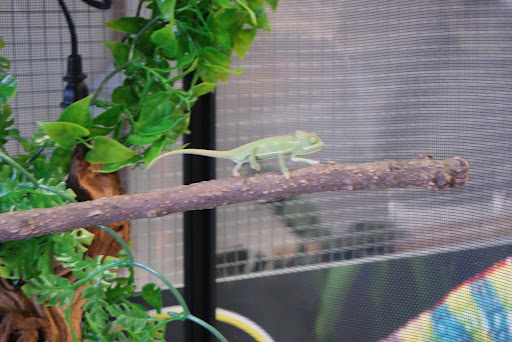 Pet Supply Store «Farmyard Feed», reviews and photos, 27705 Dutcher Creek Rd, Cloverdale, CA 95425, USA