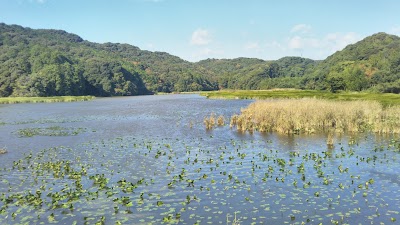 山本彩花園